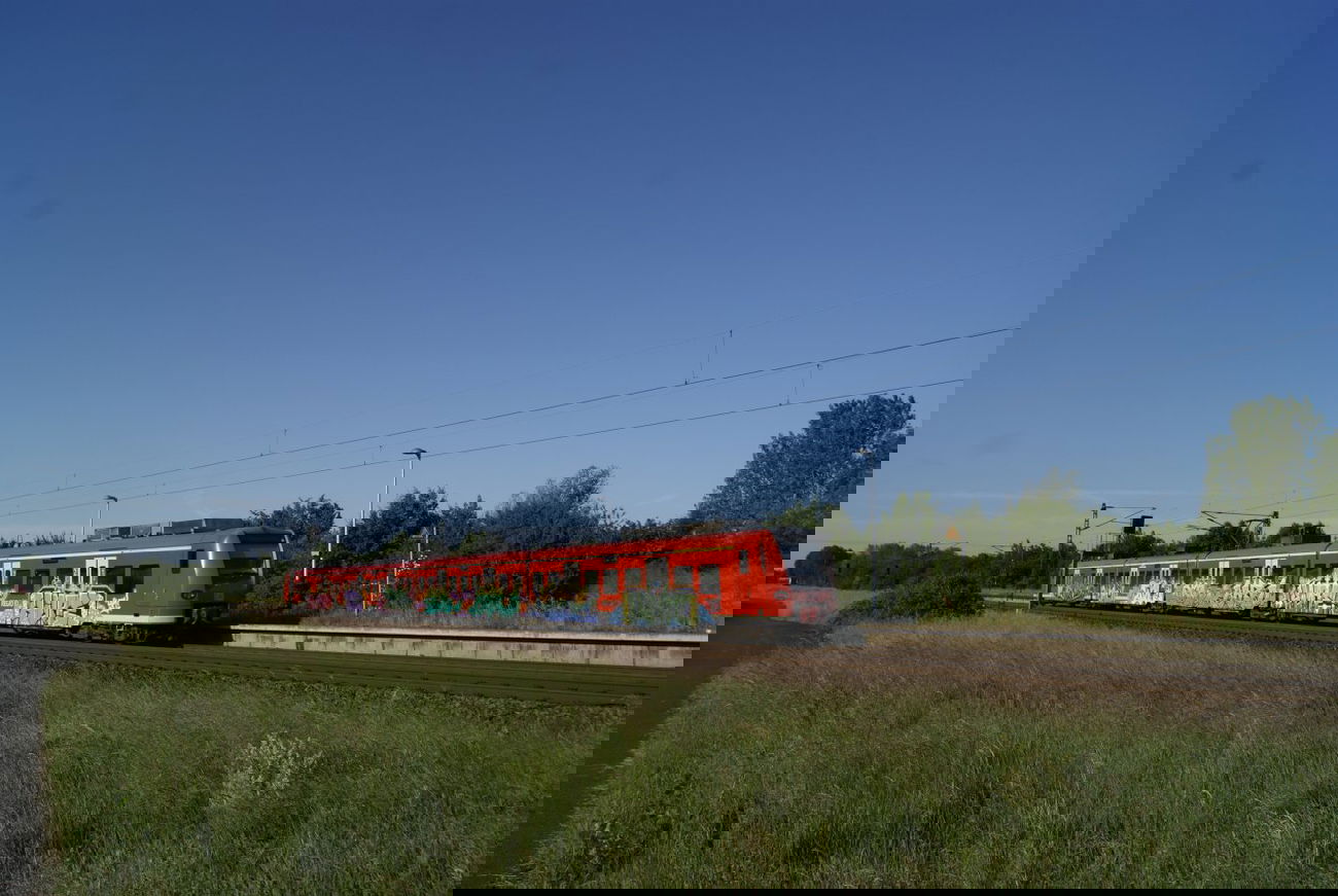 Graffiti Train - Photo by TimBudenzauber - SÜD, TDR, DQ (2012)