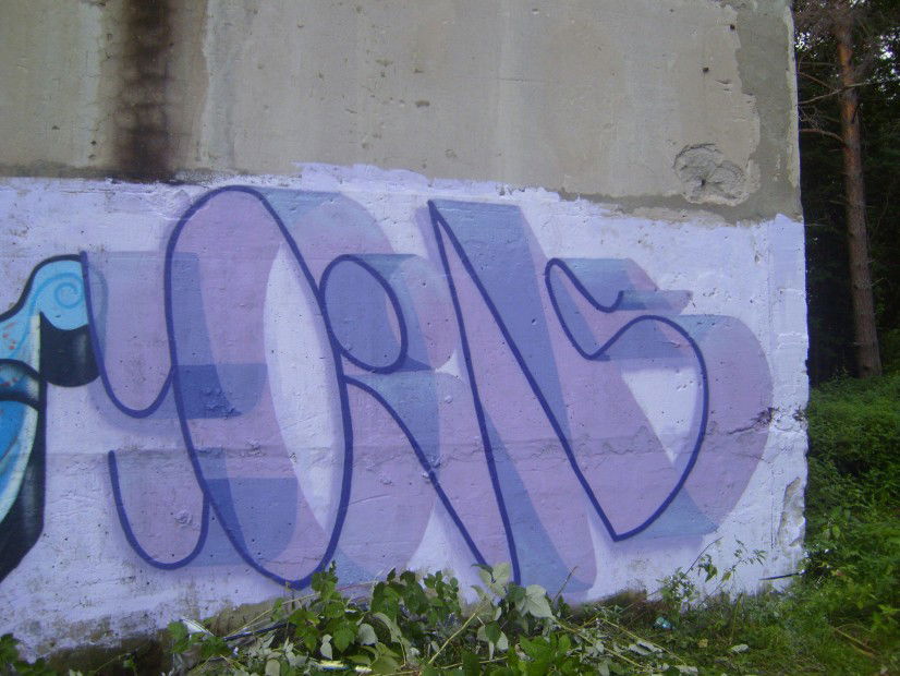 Graffiti Wall in Sosnovy Bor,SPb - Photo by TimasYors (2011)