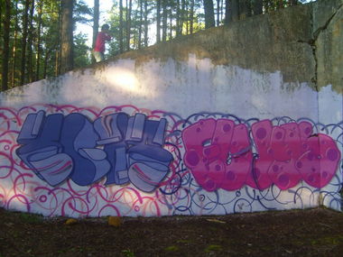 Graffiti Wall in Sosnovy Bor,SPb - Photo by TimasYors (2011)