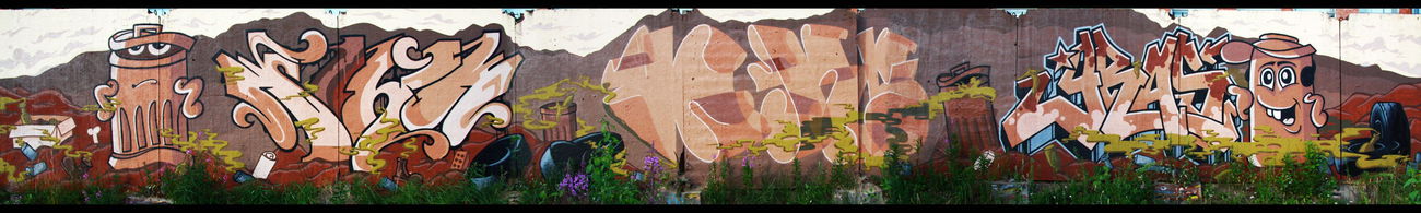 Graffiti Wall in Sosnovy Bor,SPb - Photo by TimasYors (2011)