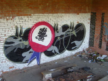 Graffiti Wall in Sosnovy Bor,SPb - Photo by TimasYors (2010)