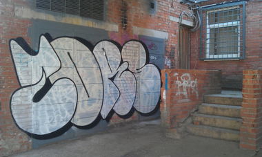 Graffiti Bombing in S.Bor,SPb - Photo by TimasYors (2013)
