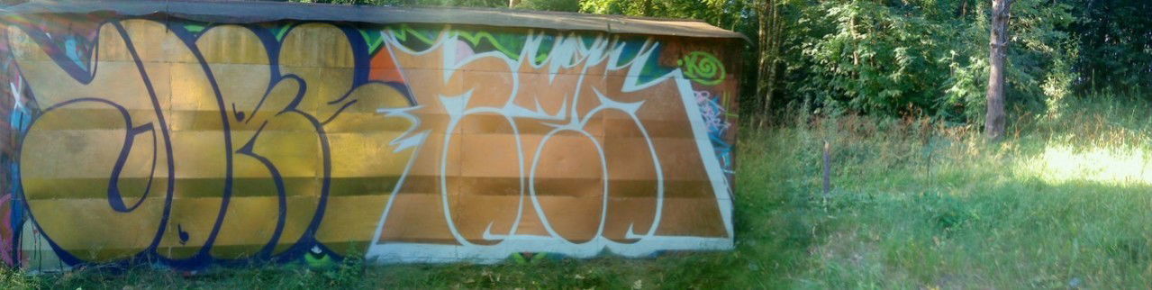 Graffiti Bombing in Sosnovy Bor - Photo by TimasYors (2012)