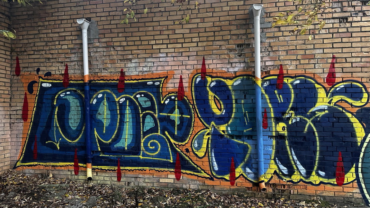 Graffiti Wall - Photo by TimasYors (2025)