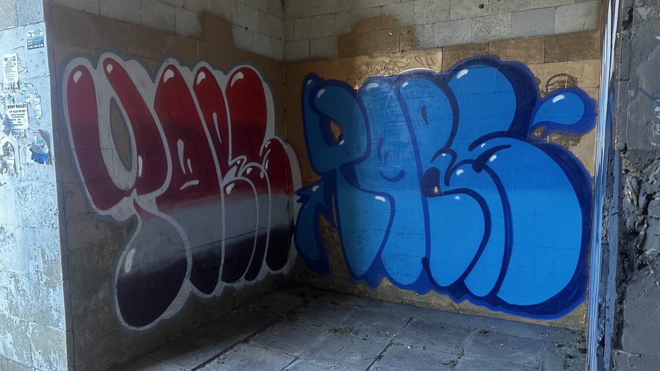 Graffiti Wall - Photo by TimasYors