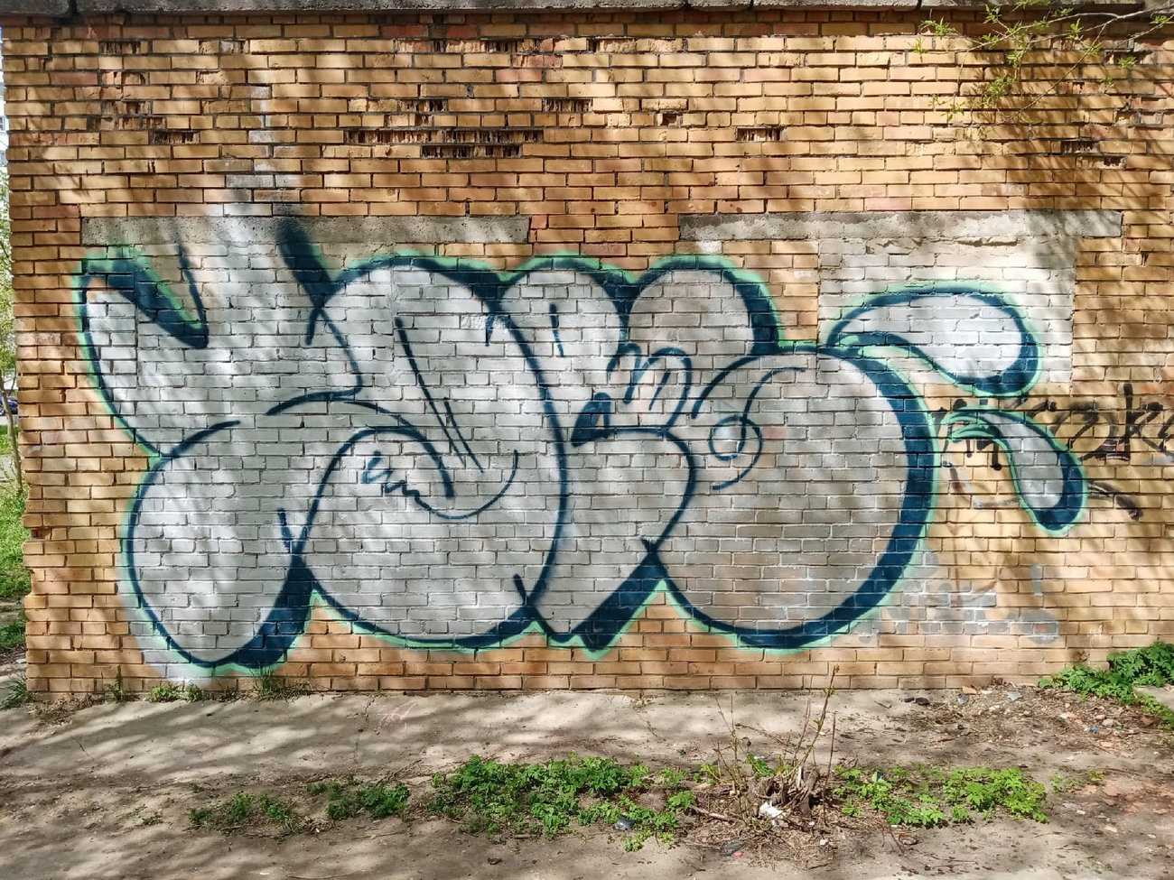 Graffiti Bombing - Photo by TimasYors (2021)