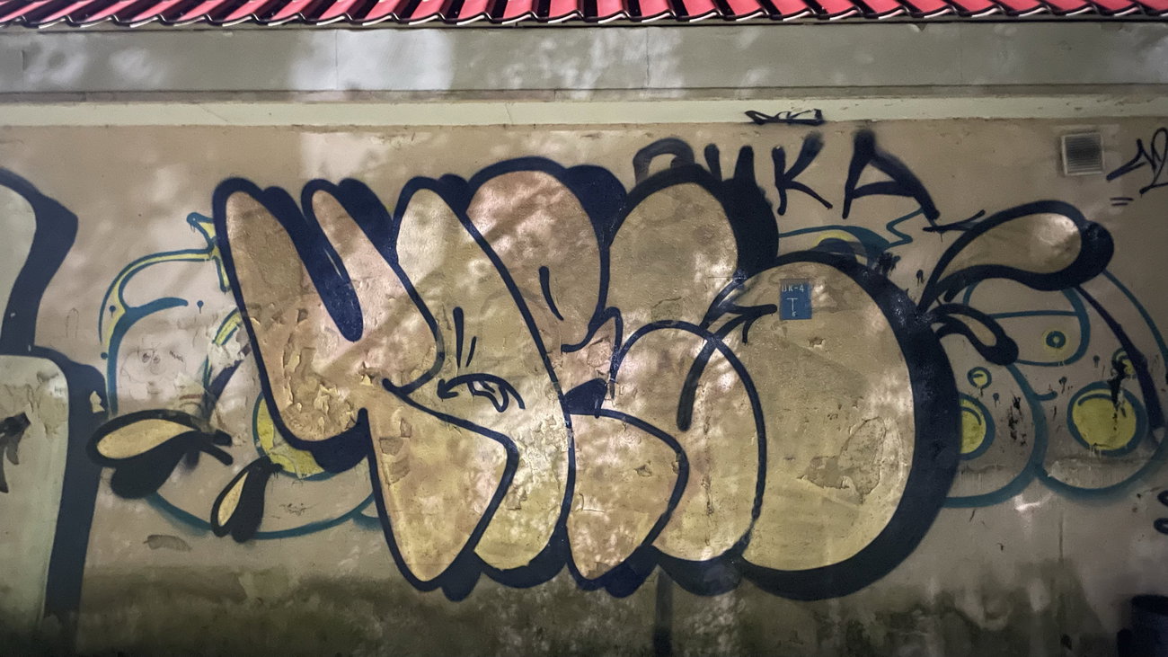 Graffiti Bombing - Photo by TimasYors (2024)