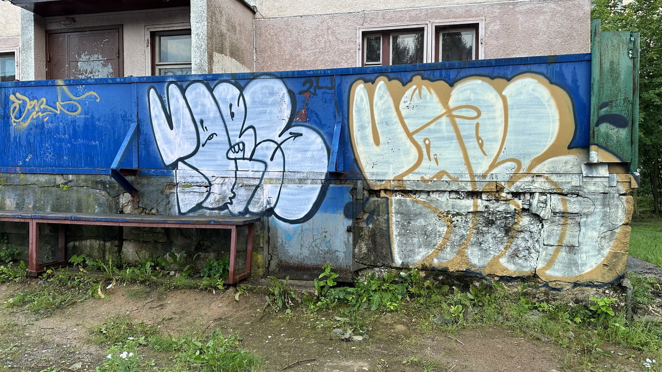 Graffiti Bombing - Photo by TimasYors (2024)
