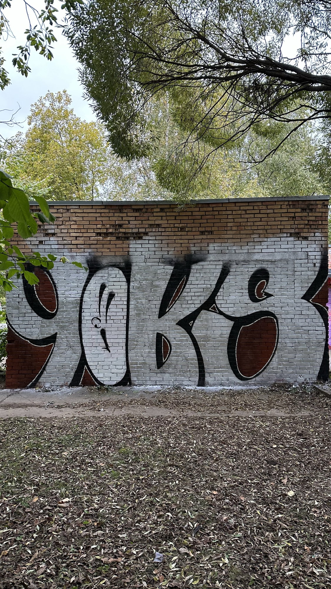 Graffiti Wall - Photo by TimasYors (2025)