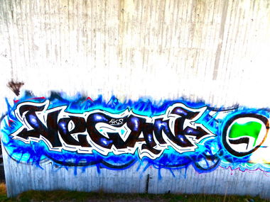 Graffiti Wall in Stralsund - Photo by Tique - Vegan, Aks, Stralsund (2014)
