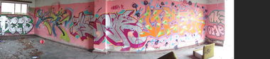 Graffiti Wall in Stralsund - Photo by Tique - beer, stif, user (2013)