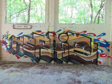 Graffiti Wall - Photo by Tique - nsr, raiz (2014)