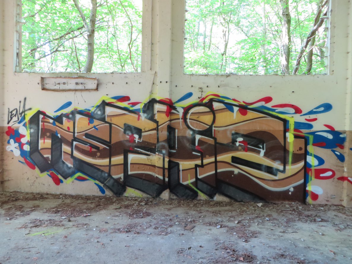 Graffiti Wall - Photo by Tique - nsr, raiz (2014)