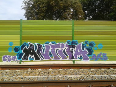 Graffiti Wall in Leipzig - Photo by Tique - Antifa, Aks, Csd (2014)