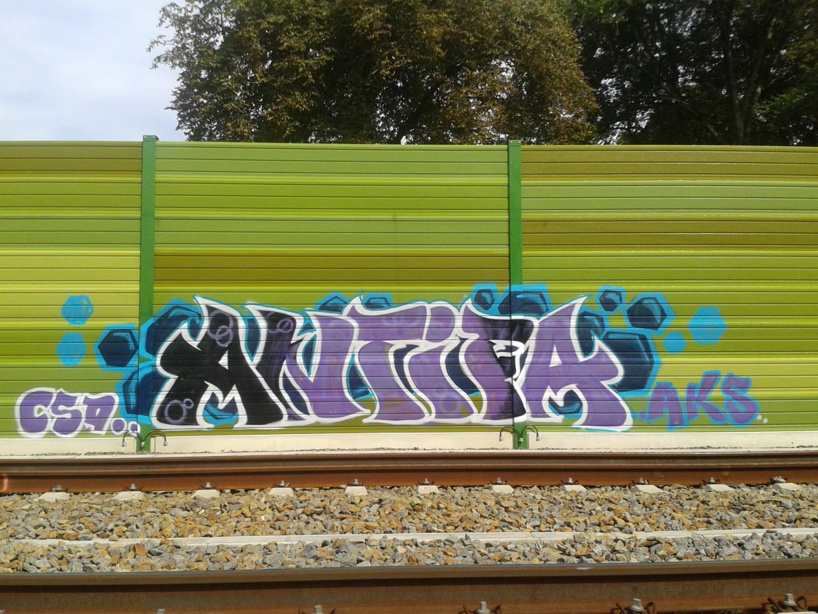 Graffiti Wall in Leipzig - Photo by Tique - Antifa, Aks, Csd (2014)