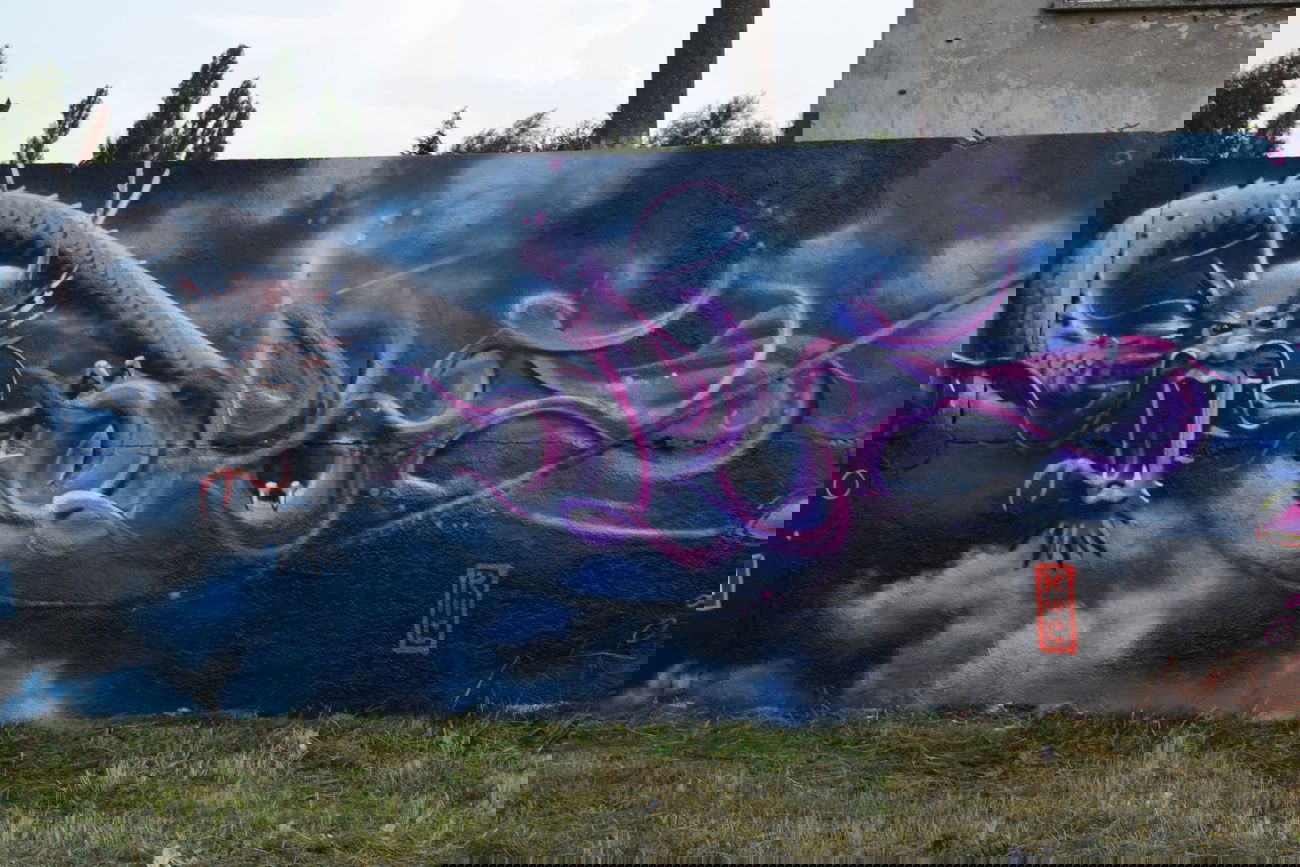 Graffiti Wall - Photo by Tique - Opus (2014)