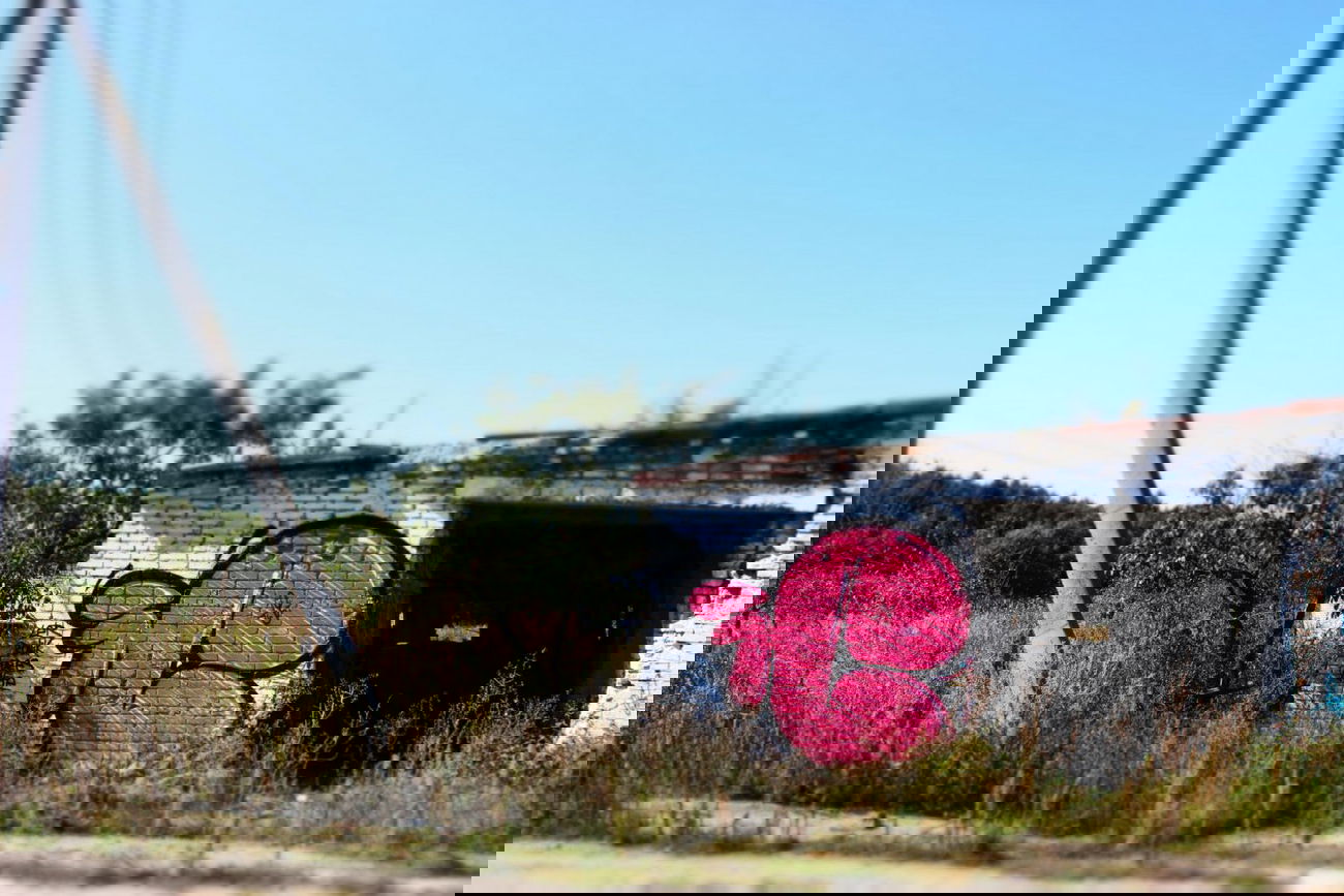 Graffiti Bombing - Photo by Tisot (2013)