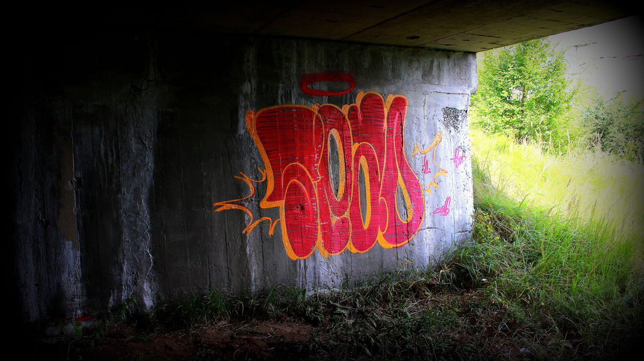 Graffiti in МОСКВА - Photo by Tisot (2016)