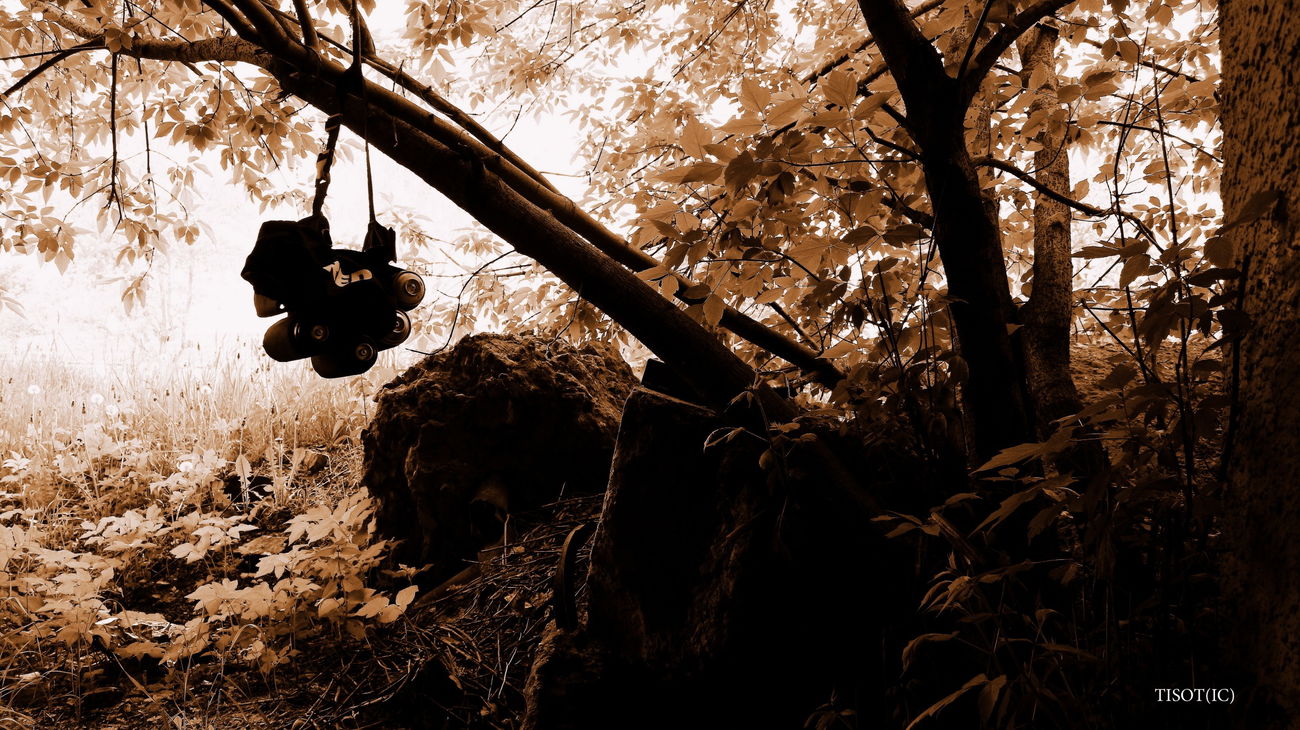 Graffiti Artwork - Photo by Tisot (2016)