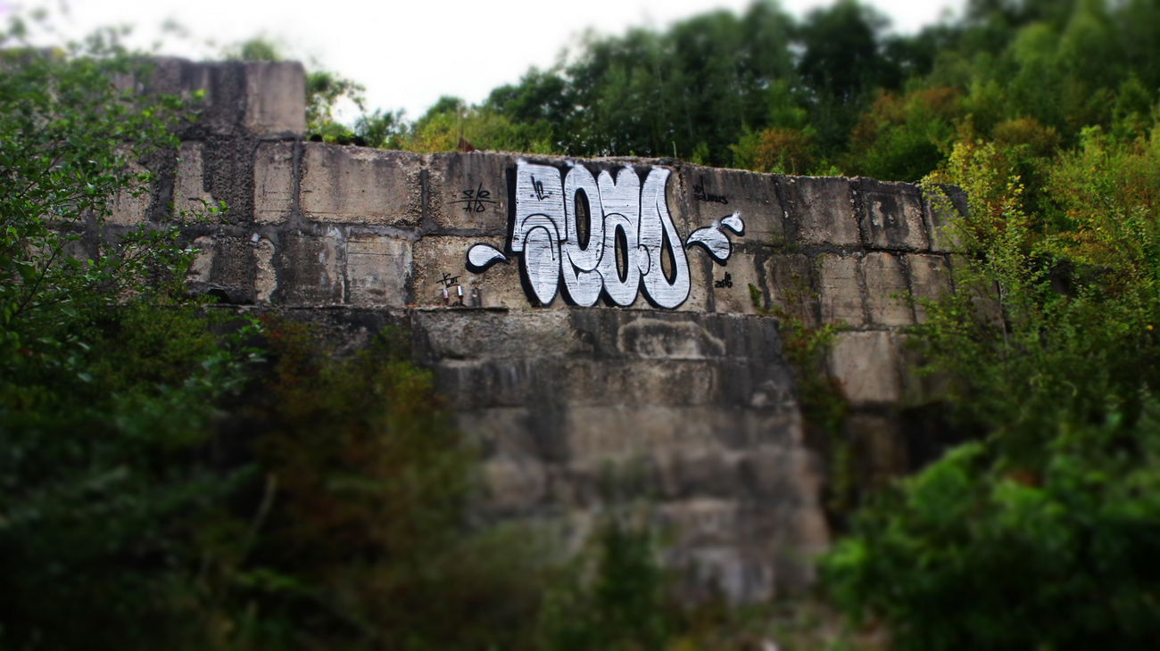 Graffiti Bombing - Photo by Tisot (2016)