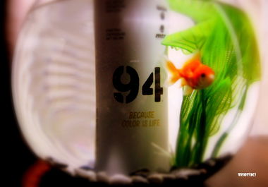 Graffiti Artwork - Photo by Tisot - sead, ironcrew, ic (2017)