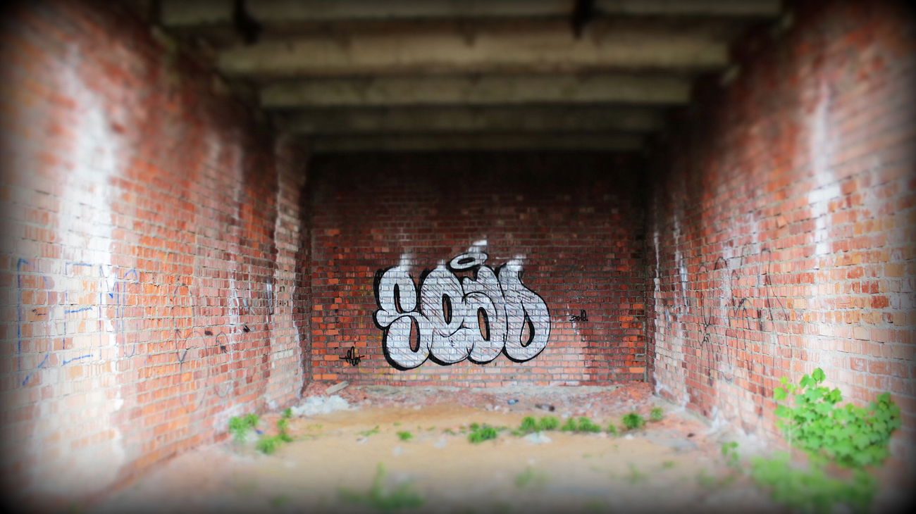 Graffiti Bombing - Photo by Tisot (2016)