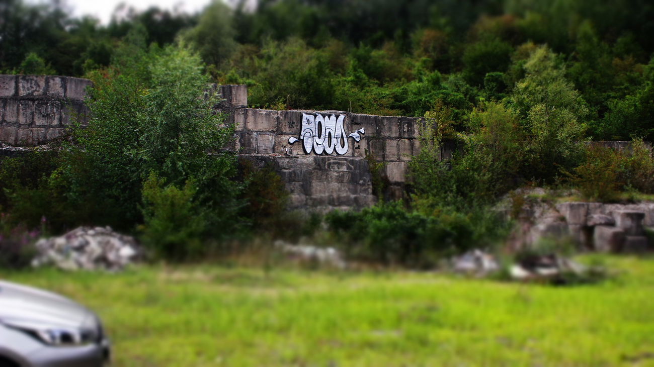 Graffiti Bombing - Photo by Tisot (2016)