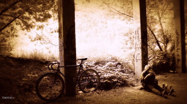 Graffiti Artwork - Photo by Tisot (2016)