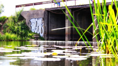 Graffiti Bombing - Photo by Tisot (2016)