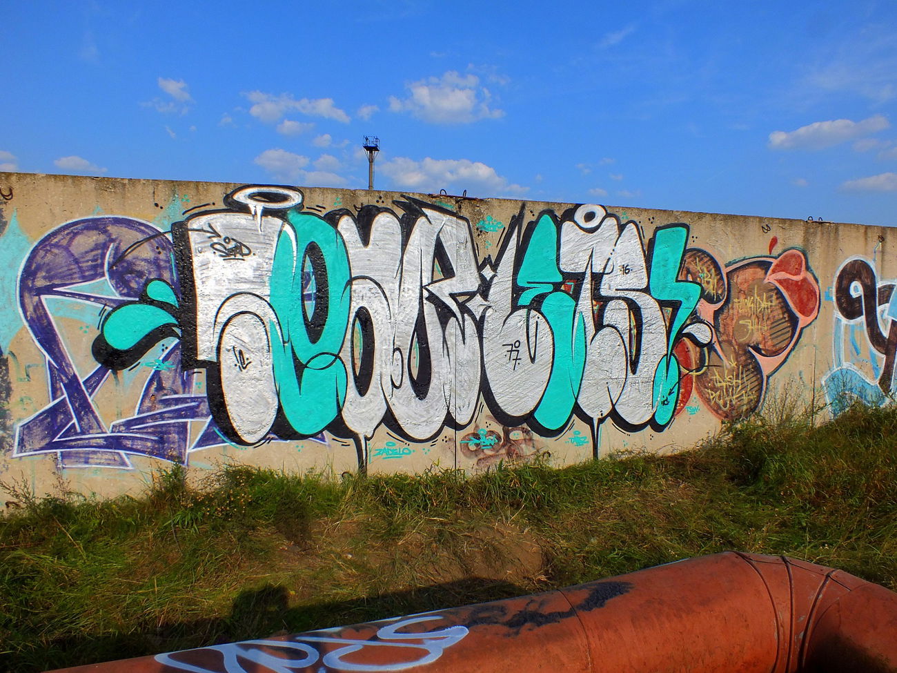Graffiti Bombing - Photo by Tisot (2016)