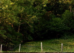 Photo #103127 by BugZBuNNy