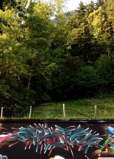Graffiti Wall in Altdorf - Photo by Tizerteks1 (2014)