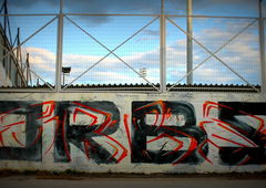 Photo #36233 by wise