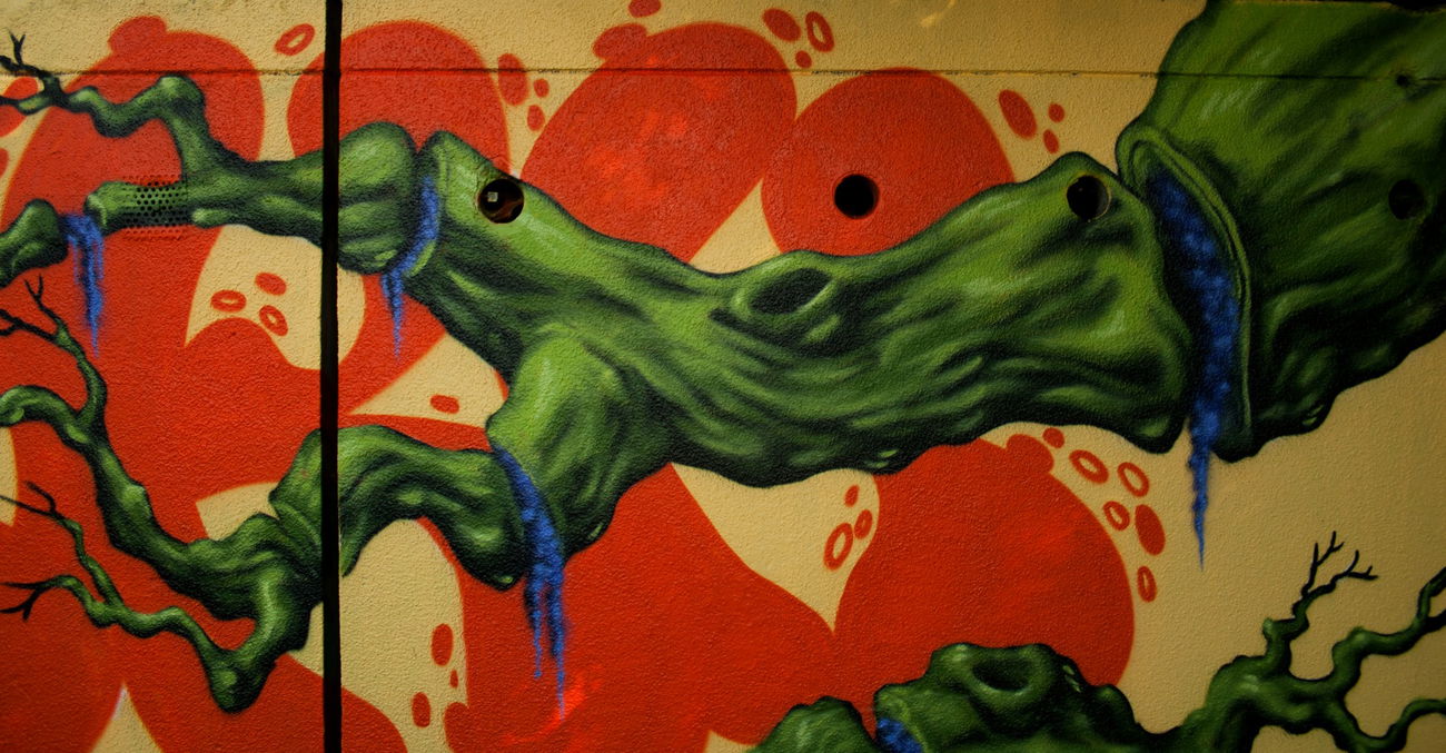 Graffiti Wall - Photo by Tokk