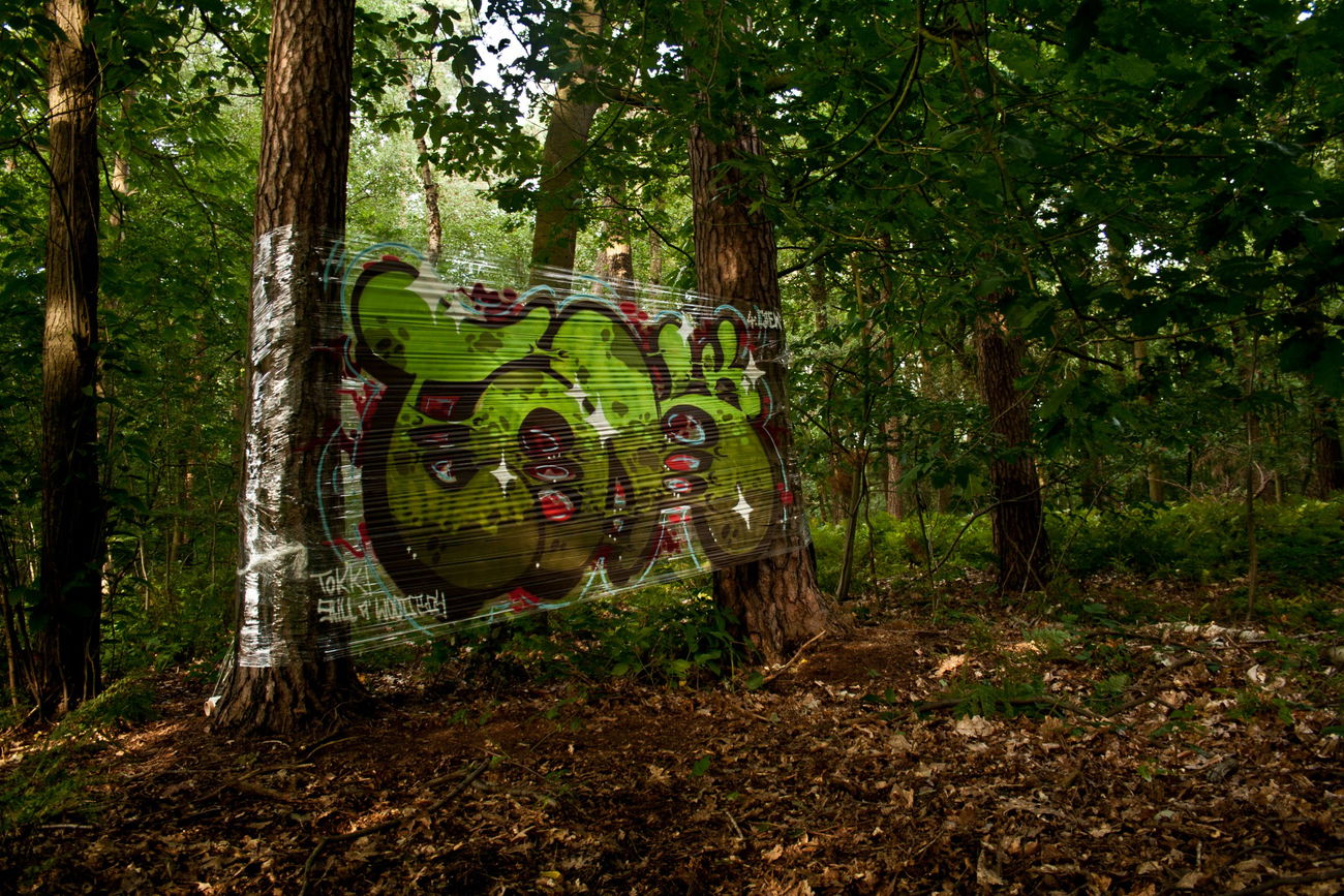 Graffiti Artwork - Photo by Tokk