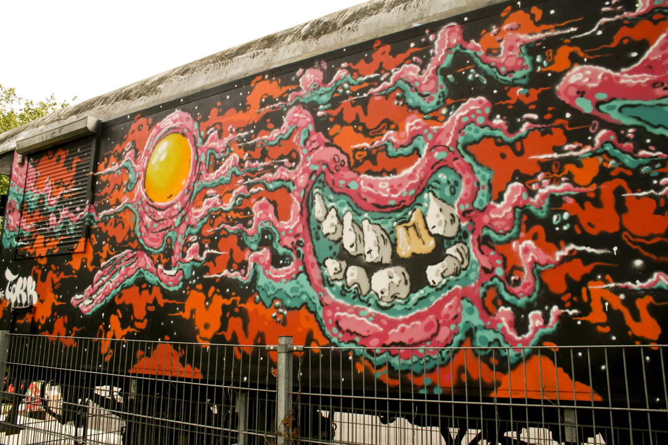 Graffiti Train - Photo by Tokk