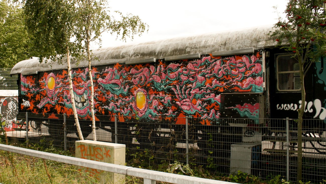 Graffiti Train - Photo by Tokk