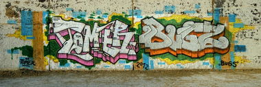 Graffiti Wall - Photo by Tomer - BZM, ASG, EMU (2012)