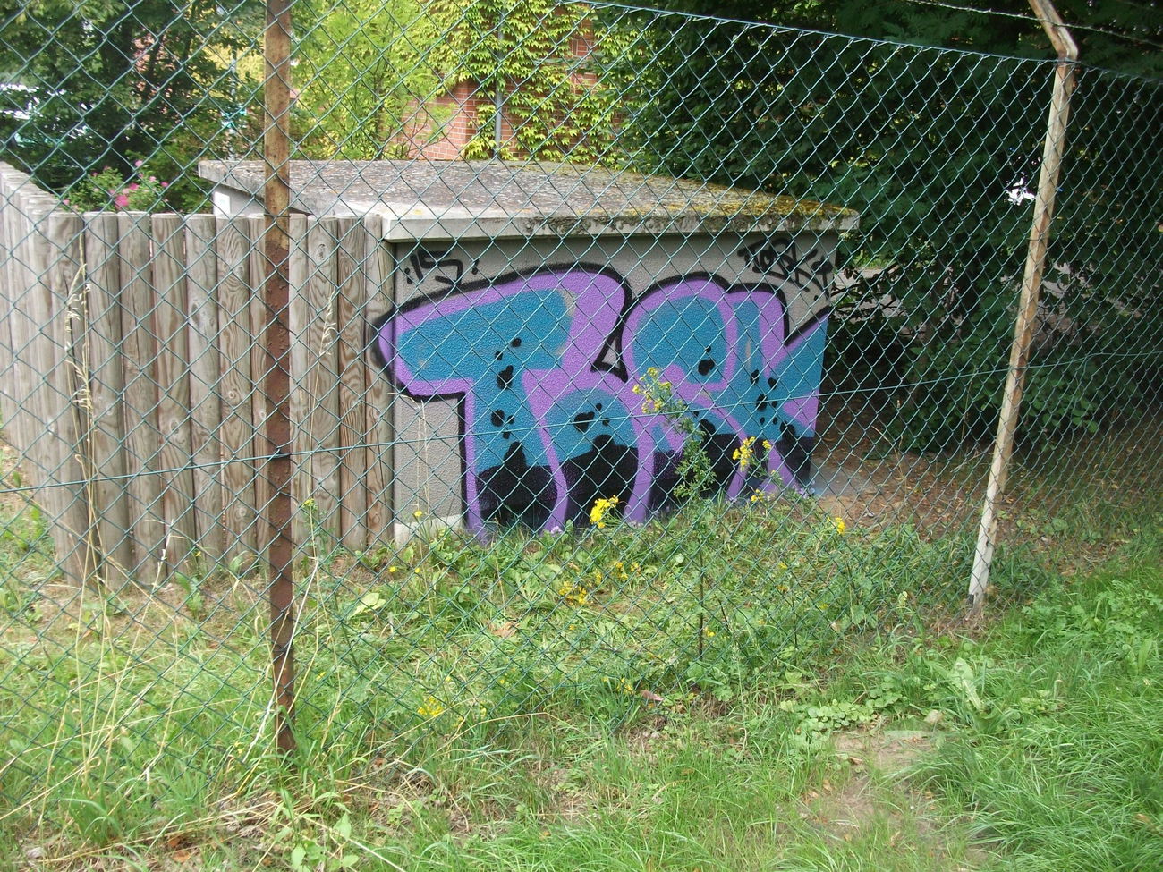 Graffiti Bombing - Photo by Tosk1 - Tosk1