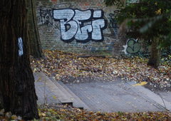 Photo #58086 by GUTEBESSERUNG