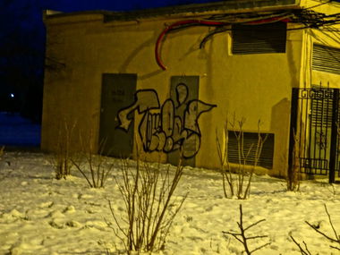 Graffiti Bombing - Photo by Tower