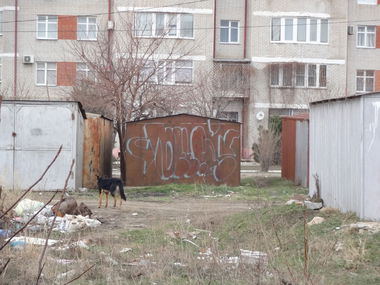 Graffiti Bombing - Photo by Tower (2015)