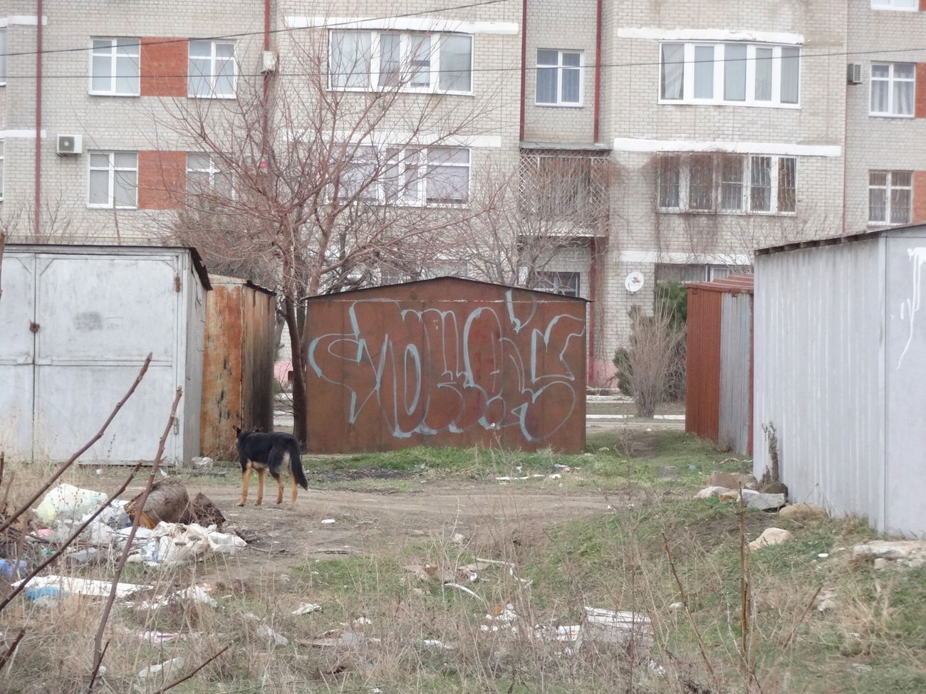 Graffiti Bombing - Photo by Tower (2015)