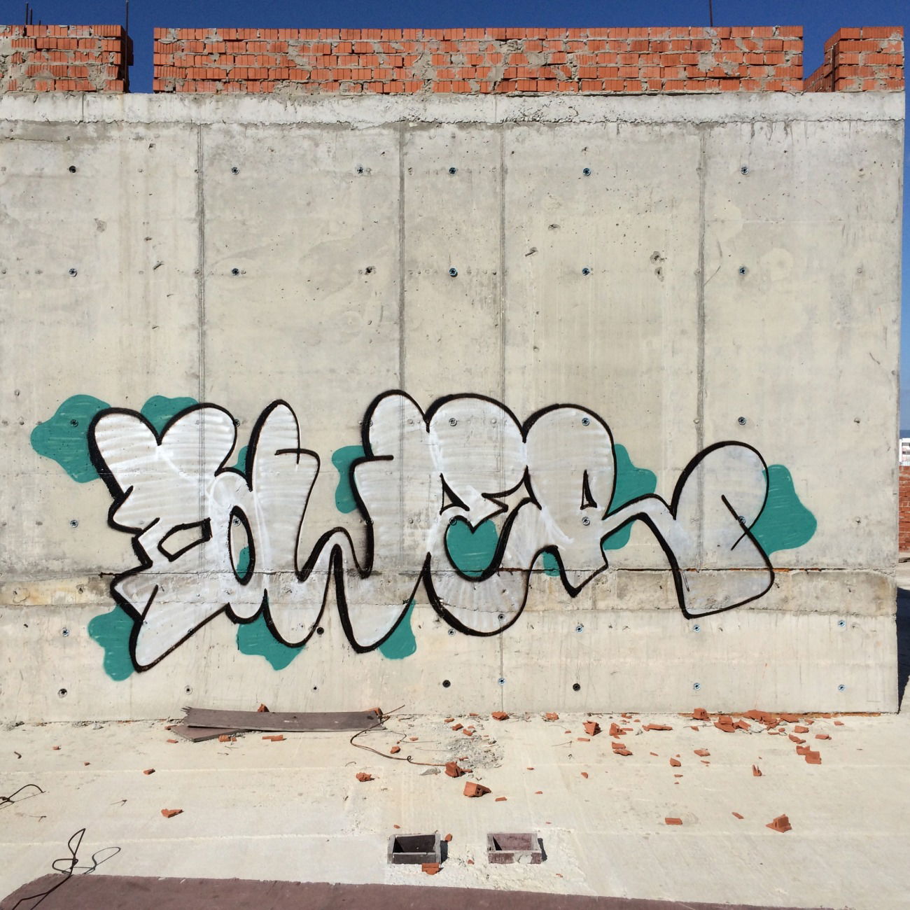 Graffiti Bombing - Photo by Tower (2015)