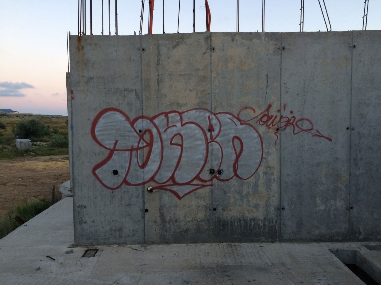 Graffiti Bombing - Photo by Tower (2015)
