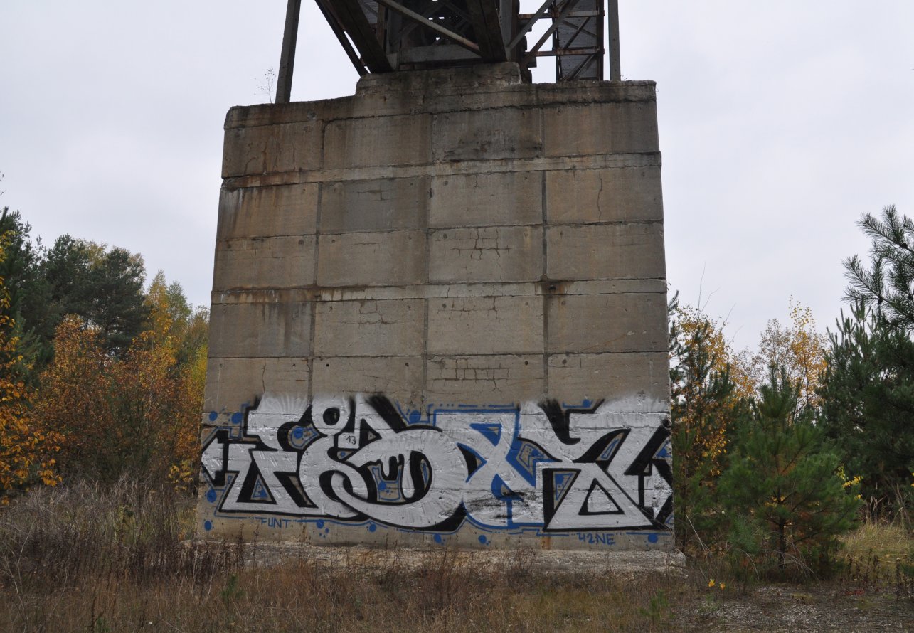 Graffiti Bombing - Photo by ToxiK - FoonT (2013)