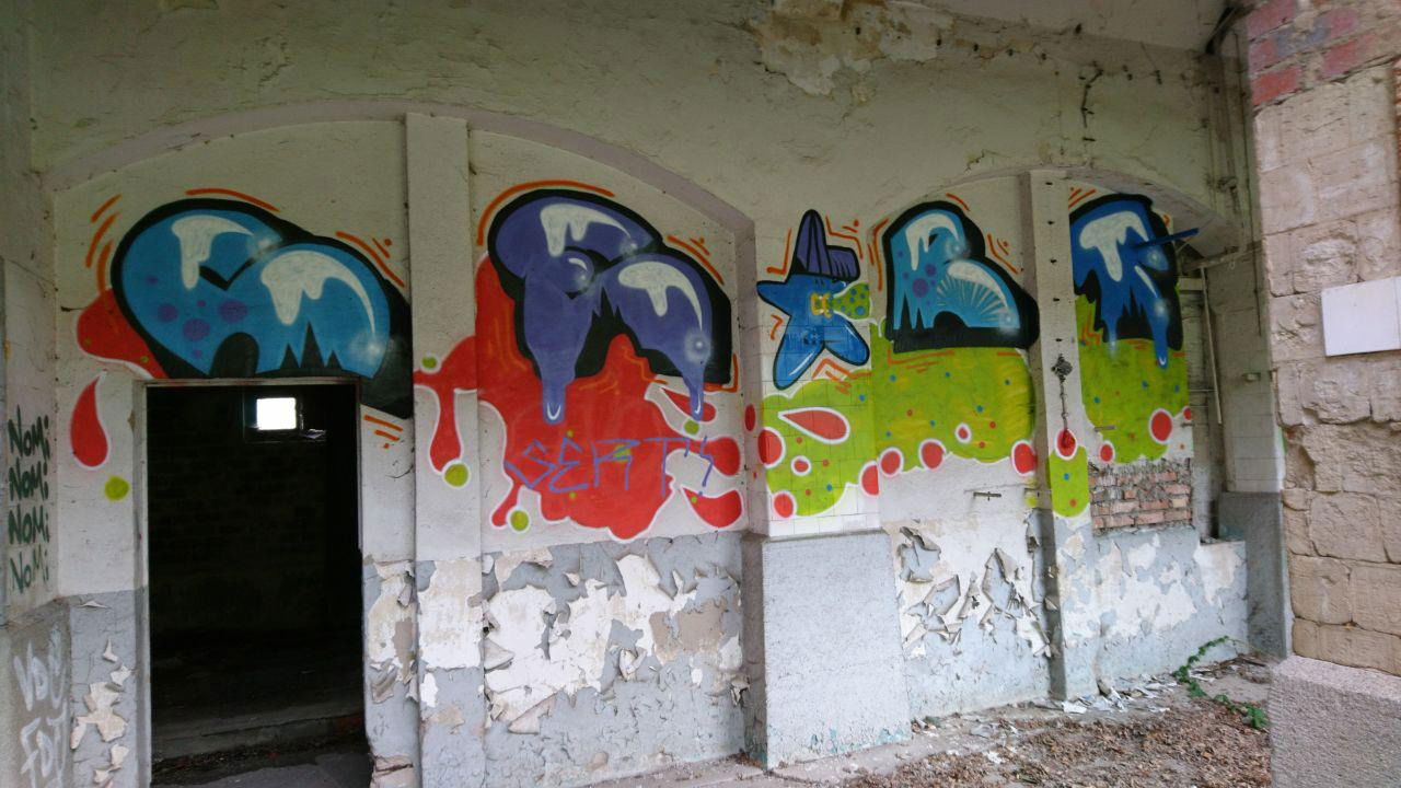 Graffiti Wall - Photo by Toyer - Dresden, SERT (2017)