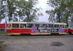 Photo #12772 by Pawik