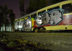 Photo #12775 by Pawik