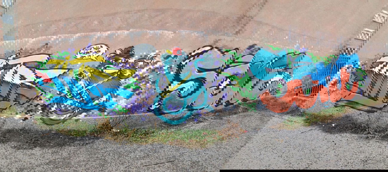 Graffiti Bombing in Sevlievo - Photo by Trash - NITRO, SONE (2013)